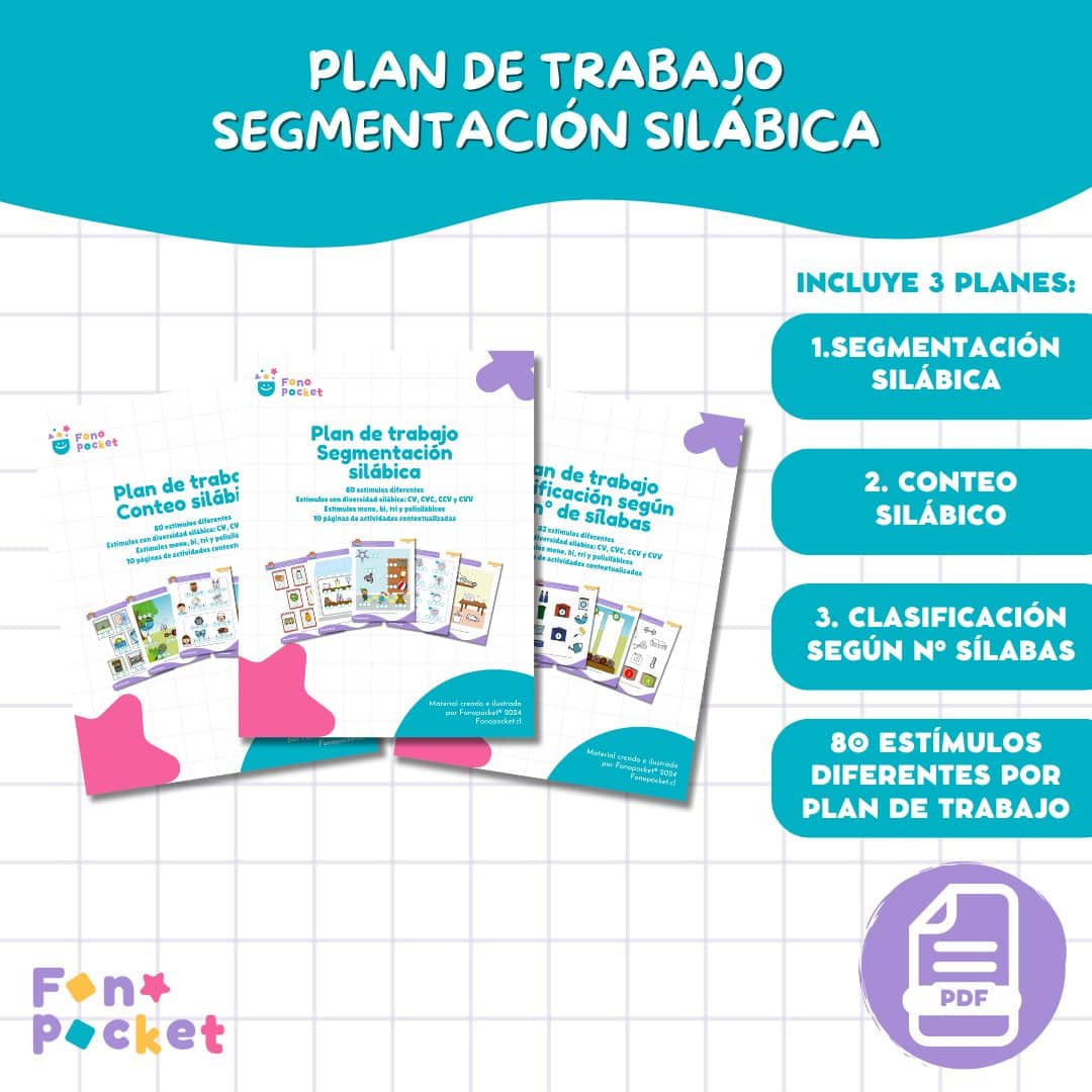 Plan de trabajo segmentación silábica